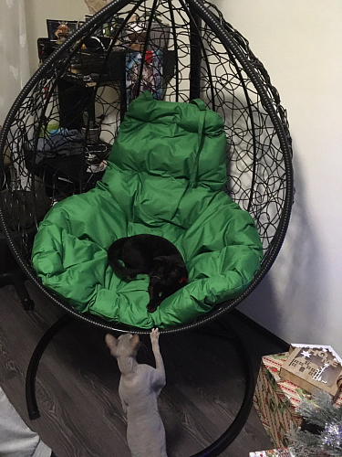 Подвесное кресло Tropica Brown фото покупателя 1